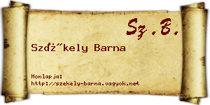 Székely Barna névjegykártya